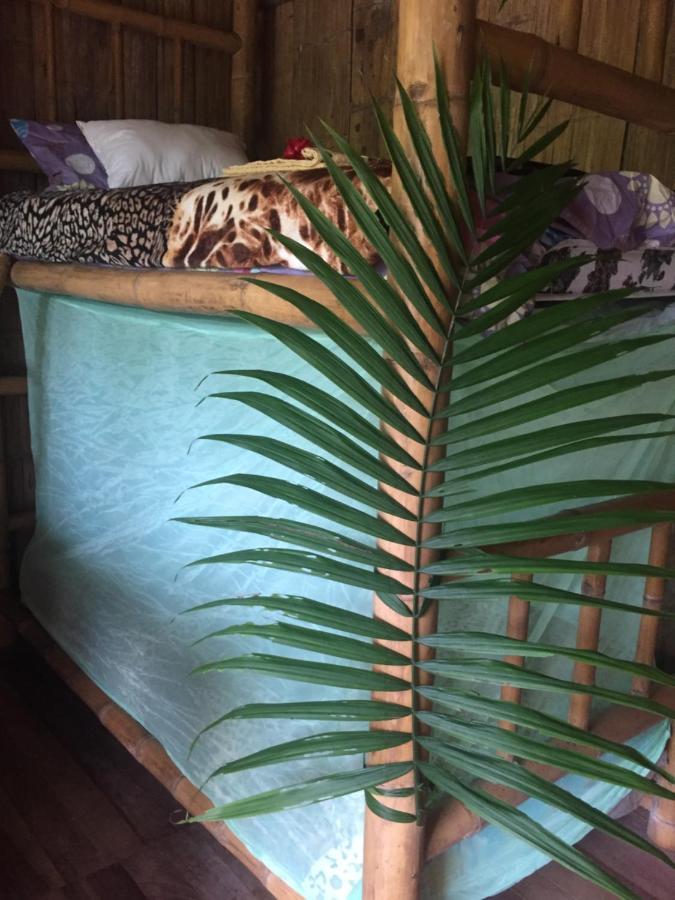 Puerto Misahuallí Shipati Lodge المظهر الخارجي الصورة