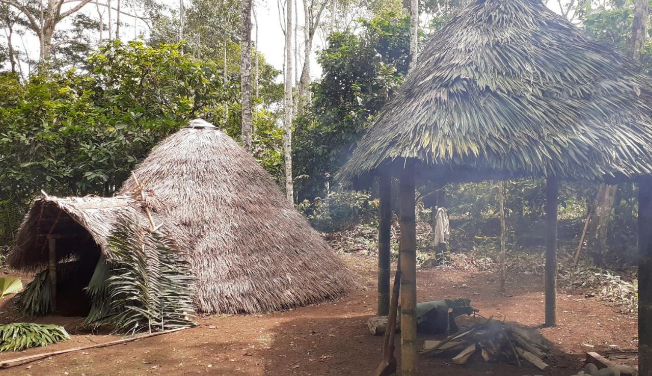 Puerto Misahuallí Shipati Lodge المظهر الخارجي الصورة